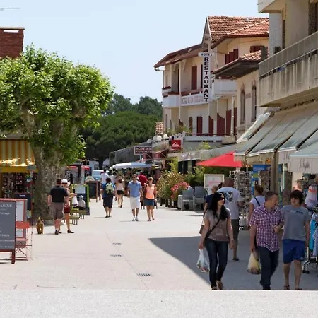 With Pool, And Ocean 5 Min By Walk, Center, Shopping And Market *